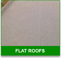 Surrey Hills - Flat Roof